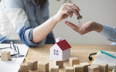 Land Financing 101: How to Get a Loan for Raw Land in Colorado